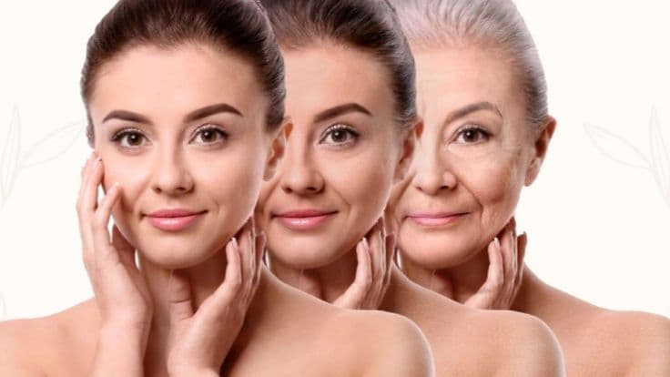 Anti-Ageing Therapy
